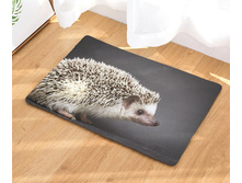 10,8 - 40�60��, 20,0 - 50�80��