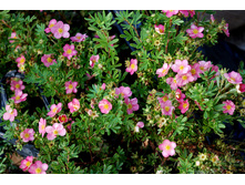 ���������� ��� �������� 10�� 140�.jpg