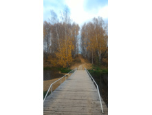 P 20181020 124302.jpg