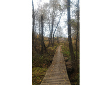 P 20181020 130425.jpg