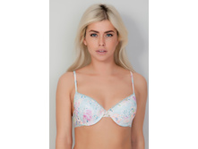 BF0742 �����������.jpg