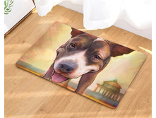 10,8 - 40�60��, 20,0 - 50�80��