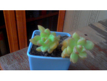 �������� 1