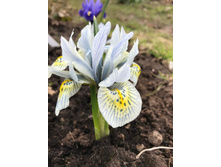 ���� ���������� �������� �������.jpg