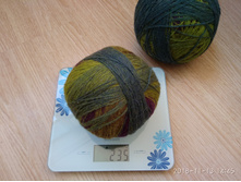 IMG 20181113 144516.jpg