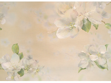 3 ������.jpg