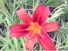 IMG 20160724 170856.jpg