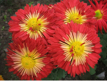 ��������� ���������