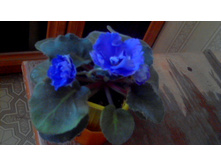 ������ ��-��������