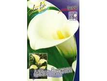 ����� ���� ������ (82,20)