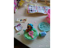 ��� �������� �����. 3-� ����� PETS � ������������ ��������!