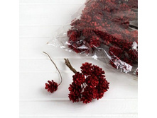 ������� �� ����� � ������.