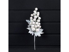 ����� ��������� ����� � �̣������ 30��