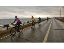 P 20181110 092445-01.jpeg