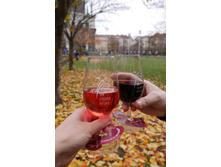 ���� ��. �������