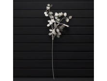 ����� �� ��������