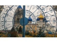 P 20181110 101939-01.jpeg