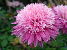 ��������� ��������� �����.