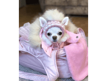 IMG 20181126 093416.png