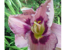 IMG 20160724 082353.jpg