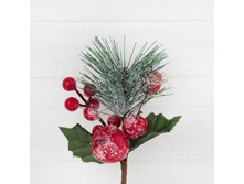 ���� ����.������+����� ������