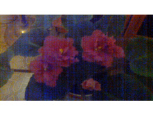 ������ ���� ����� �����