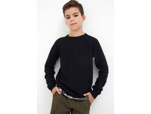 20110310057   Davidson   �����-�������.jpg