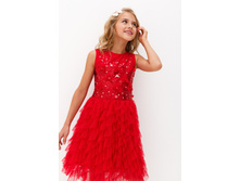 20210200295   Au   �������.jpg