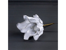 �������� �� � �̣��.���� (������./���.)