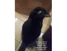 � ��� ������� ��?