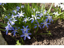 ��������������� �� ������� ���. oliskaAvto