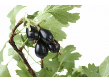 ����� � �2 301�