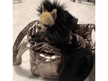 IMG 20181127 133039.png