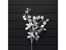 11-0049� ����� �� �������� (2)-1000x1000.jpg