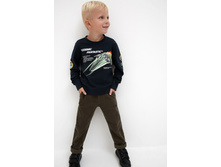 20120160191   Gemini 1   �������.jpg