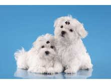 45200417 544075616020735 4637043196105326592 n.jpg