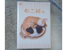 253891 216796738344323 5657242 n.jpg