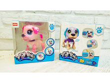 ����� ������������� �����, ����, �������������, ������ ���������, �������, ������������� ������