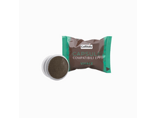 ���� � �������� DM L.E.P. Vivace, 10 ������, 200,00 ��� + ���.����