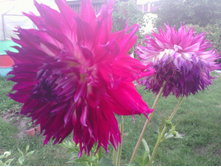 IMG 20170901 185111.jpg