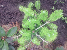 IMG 20170617 163431.jpg