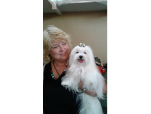 37202738 1885028904876574 5335061014763274240 n.jpg