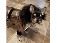 IMG 20181126 093557.png