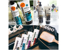 Cameleo �������� ��� ����� �� Delia