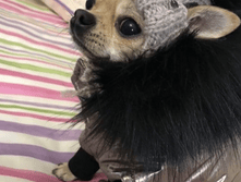 IMG 20181127 132933.png