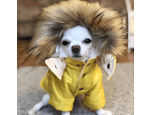 IMG 20181126 093527.png