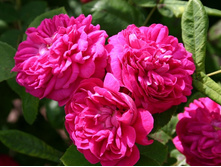 ���� �������� ��� ��� �� ���� � ������� 180�