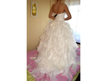 � ����.����