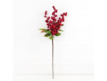 ����� � �������