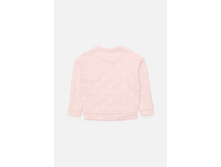 10220100002   Orange   ������-�������(����).jpg